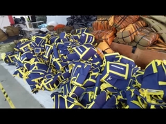 O refrigerador isolado de pouco peso ensaca uma trouxa mais fresca da praia da grande capacidade